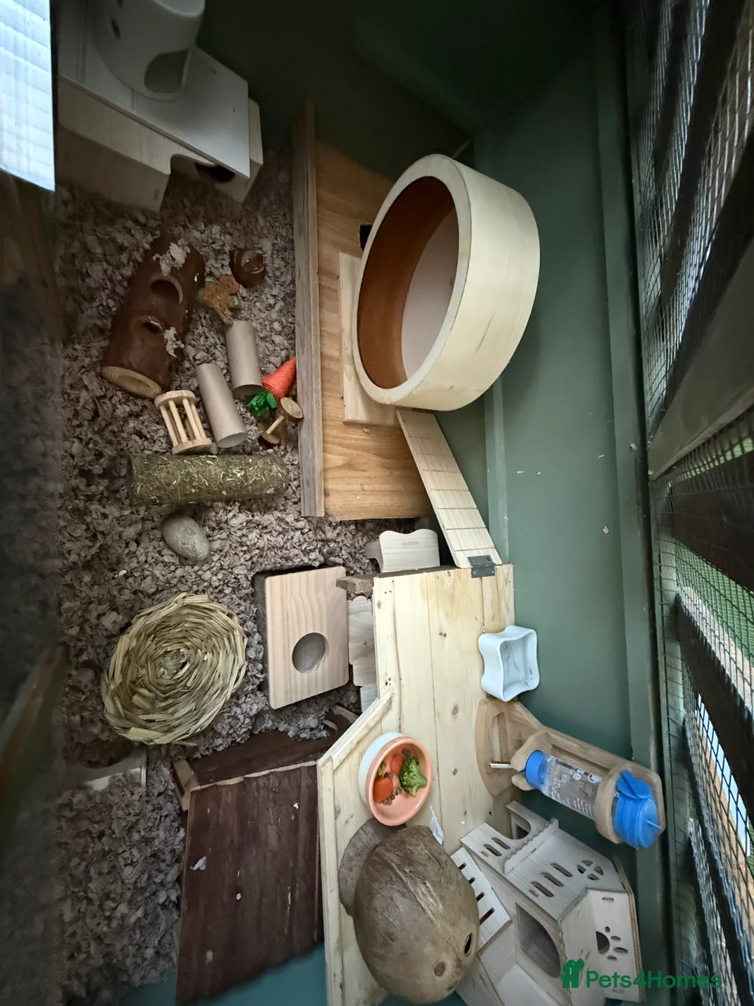 Hamster rodents for sale: Hamster cage - Advert 3