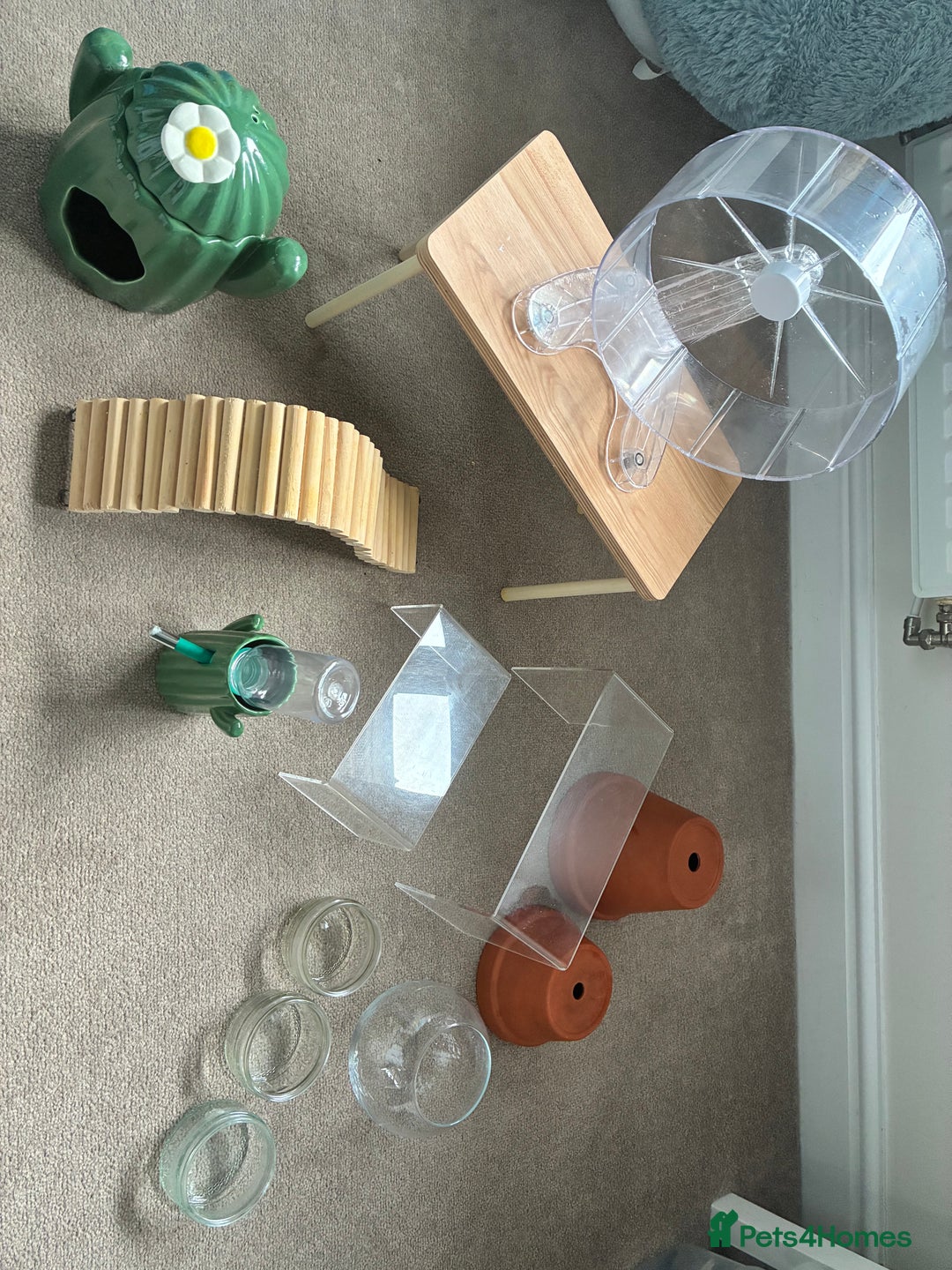 Gerbil rodents for sale: 2 female gerbils (including bucatstate cage etc) - Image 8