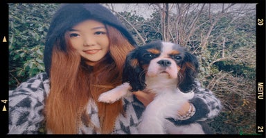 Cavalier King Charles Spaniel dogs - Advert 7