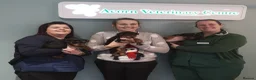 Welsh Terrier dogs for sale: Beautiful Welsh terrier puppy girl - Advert 4