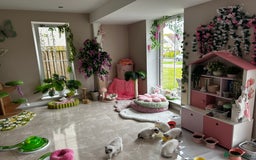 Ragdoll cats for sale: Beautiful Ragdoll kittens from Champion lines - Image 21