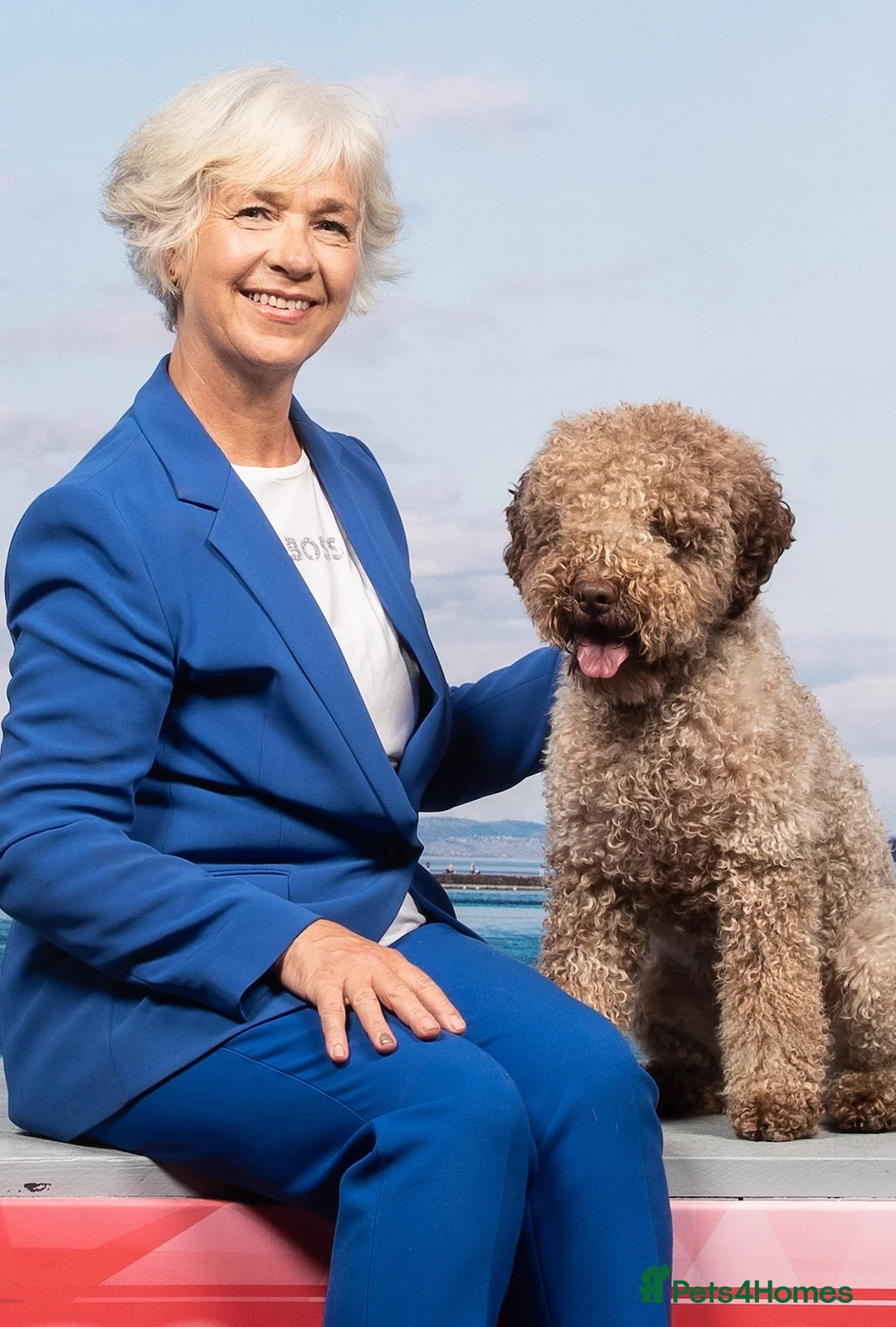 Lagotto Romagnolo dogs for sale: Lagotto Romagnolo puppies , a rarity !  - Advert 12