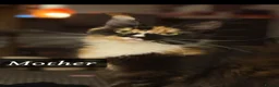 Maine Coon cats for sale: Beautiful Maine Coon kittens - Advert 21