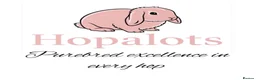 Mini Lop rabbits for sale: Pure mini lops  - Advert 1