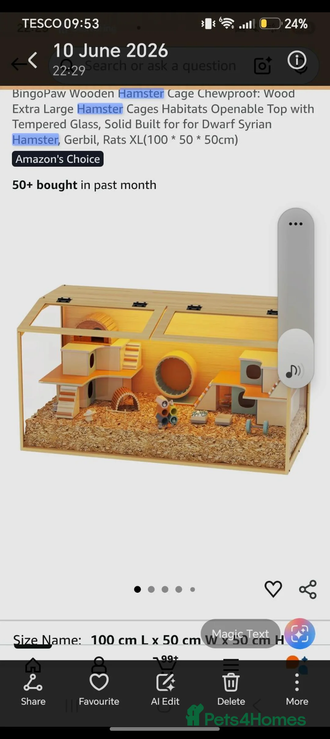 Hamster rodents for sale: Hamster for sale  - Advert 6
