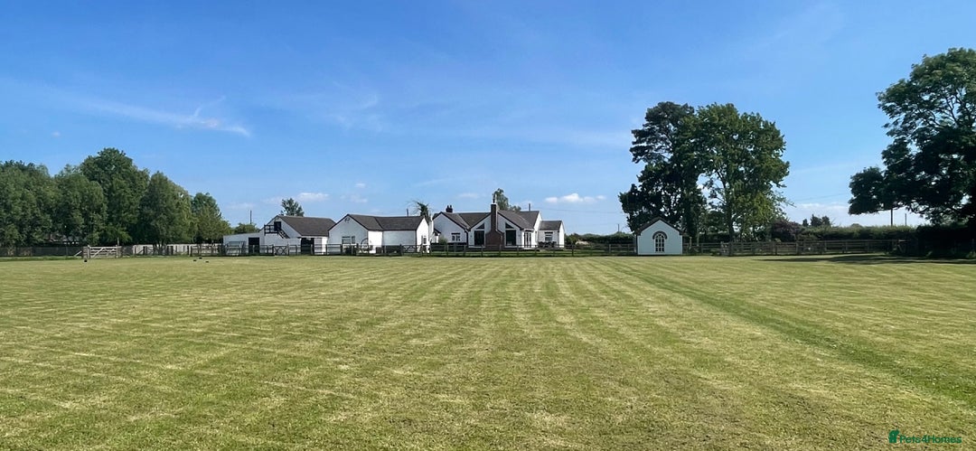 Miniature Poodle dogs for sale: KC HEALTH TEST PUPS - POLICE K9 TRAINER 5* BREEDER - Advert 29