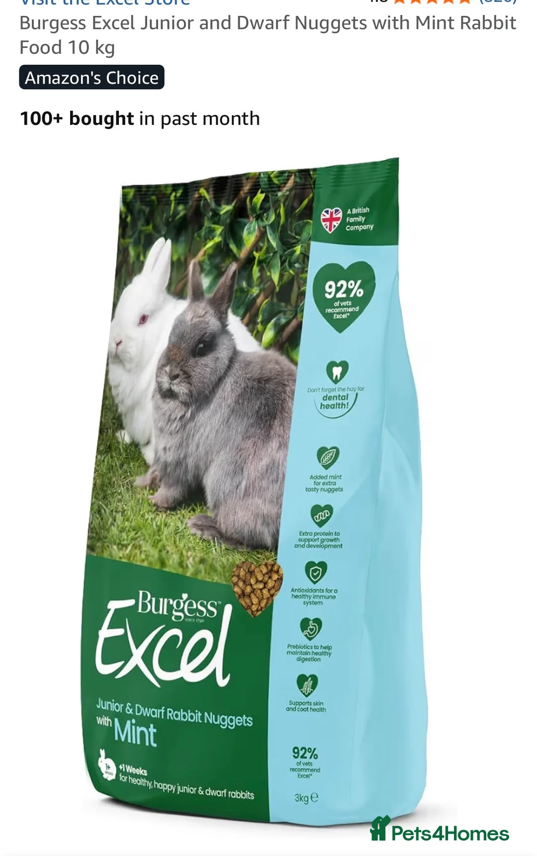 Netherland Dwarf rabbits for sale: 2 X Netherland Dwarfs bunnies - Advert 2