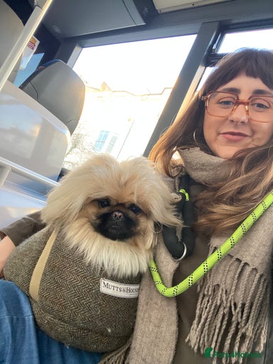 Gallery Image {{count}}