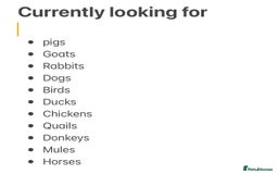 Mixed Breed livestock for sale: WANTED !! any animals needing new home - Image 1