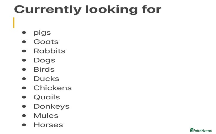 Mixed Breed livestock - Advert 1