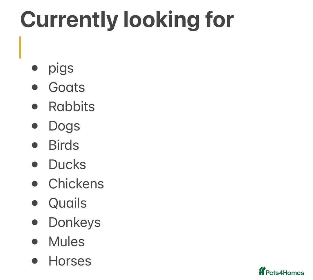 Mixed Breed livestock for sale: WANTED !! any animals needing new home - Image 1
