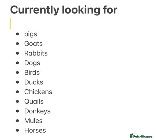 Mixed Breed livestock - Advert 1