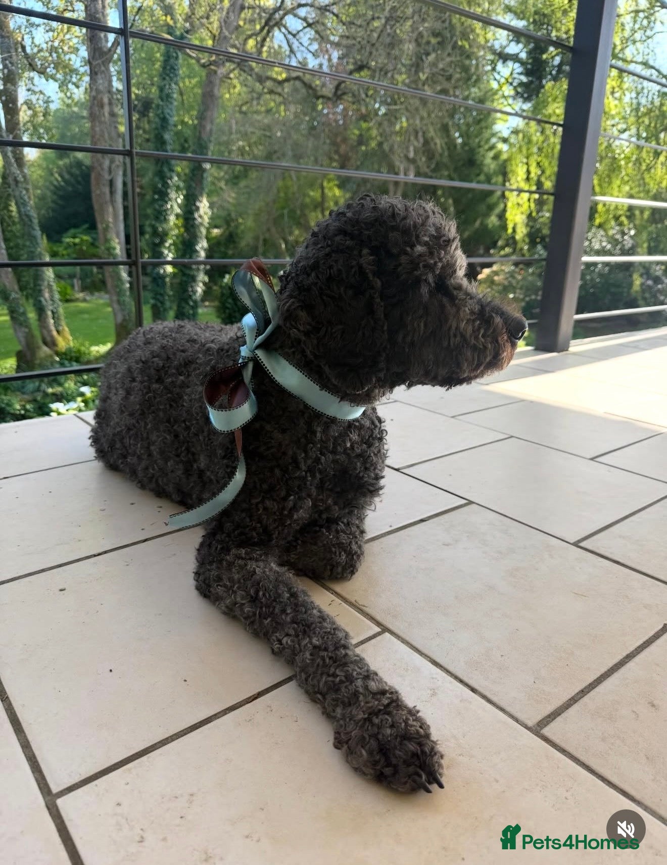 Lulu