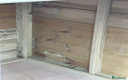 Chickens poultry for sale: Chicken Coops - excellent quality - British Made - Image 10