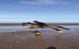 Other Breed horses for sale: 14’2 13 year old quantock hill pony mare - Image 3