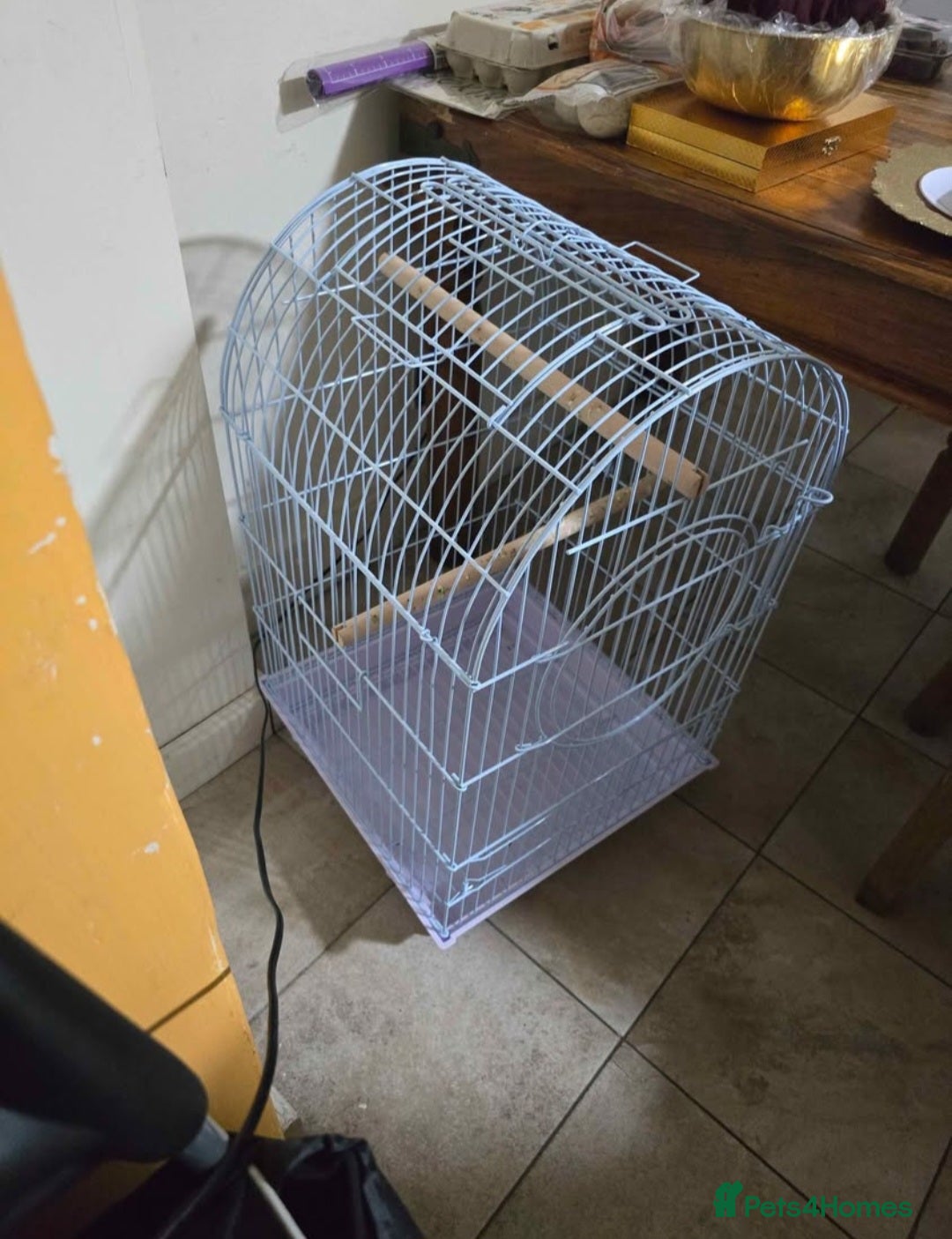 Parrots birds Cage for Parrots  - Advert 2