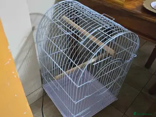 Parrots birds Cage for Parrots - Advert 2