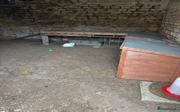 Mini Lop rabbits for sale: Home waiting for some bunnies  - Image 1