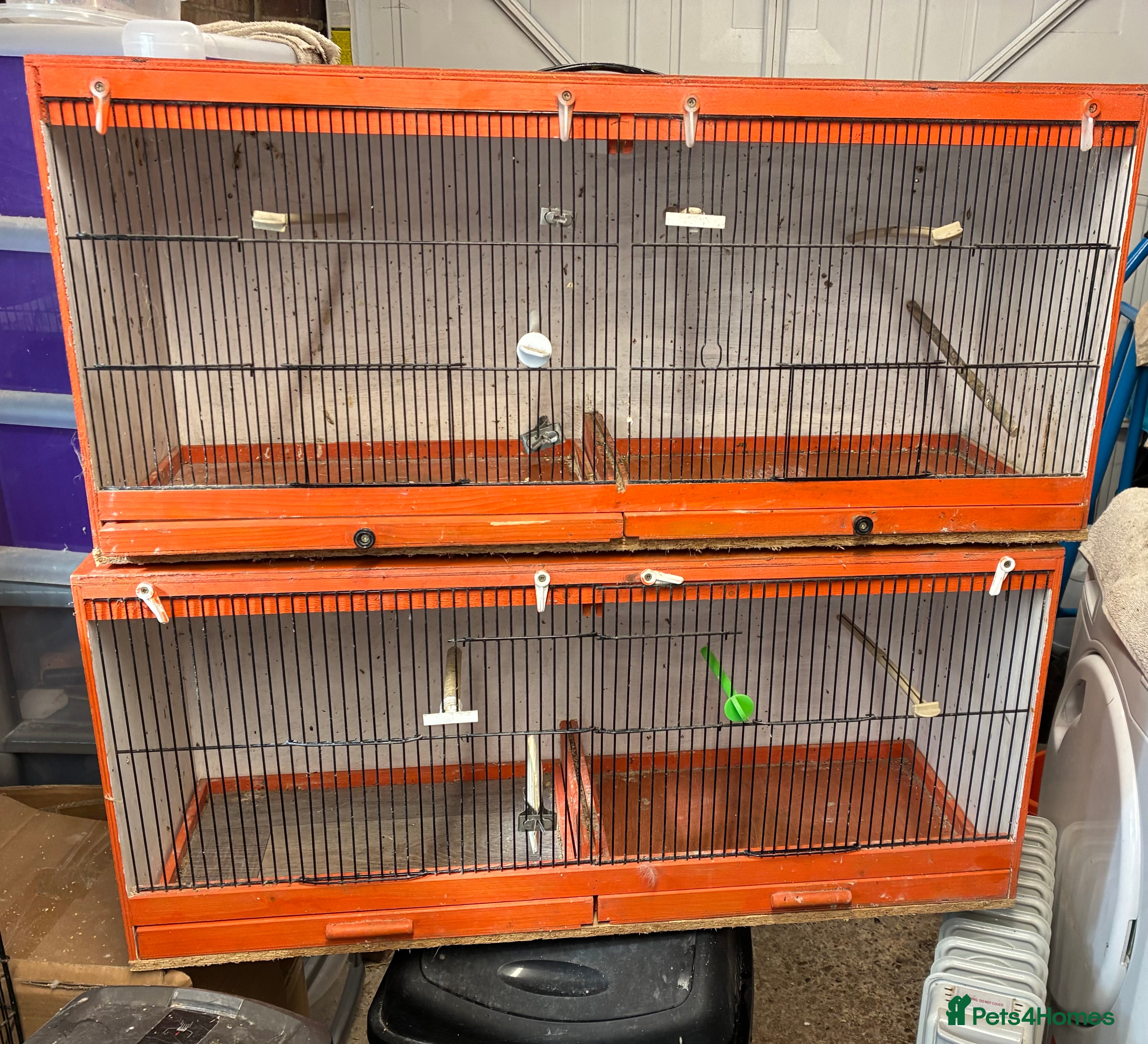 Canaries birds Breeding cages  - Advert 1