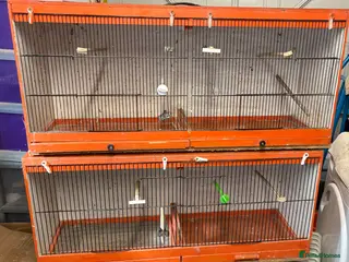 Canaries birds Breeding cages - Advert 1