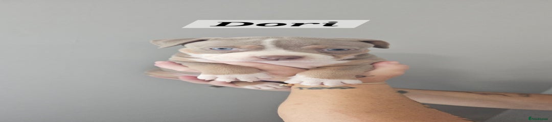 Dori