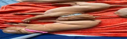 Hungarian Vizsla dogs for sale: Beautiful Vizsla puppies (DOB18/4) 3 girls, 3 boys in Twickenham - Advert 4