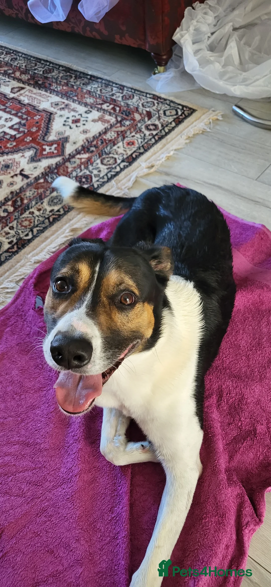 Gallery Image {{count}}