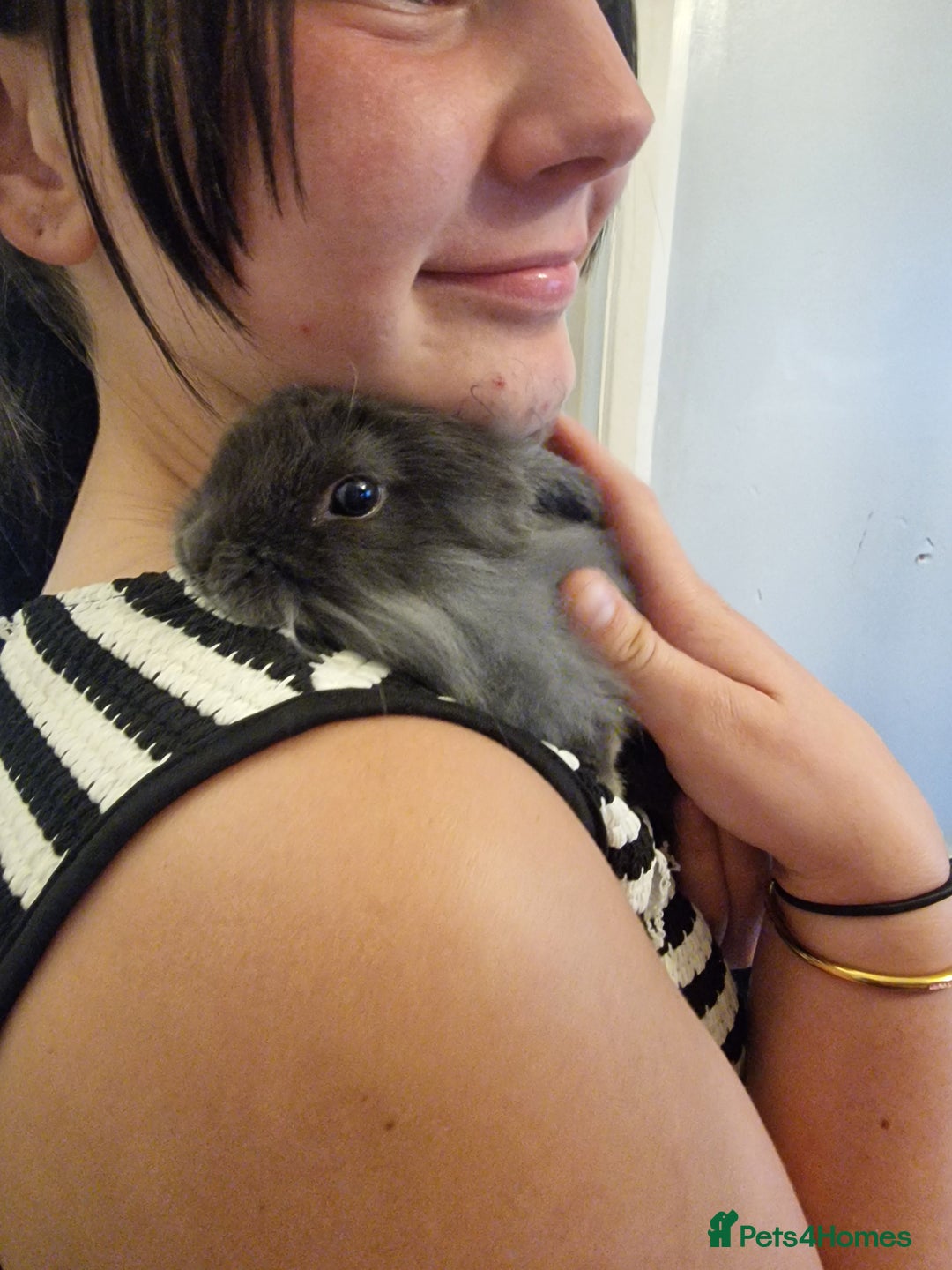 Mixed Breed rabbits for sale: 2 boy rabbits.  - Image 3