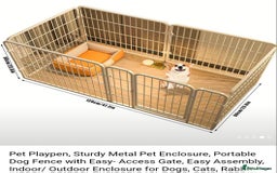 Lionhead rabbits for sale: Lionhead for free - Image 2