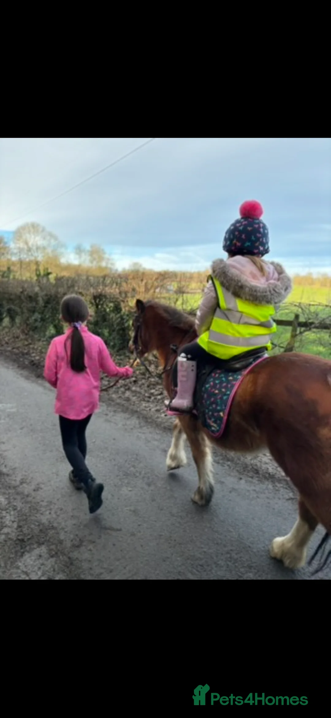 Welsh Section A horses for sale: Perfect lead rein pony  in Wrexham - Advert 2