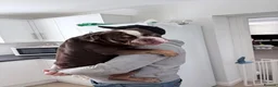 English Bulldog dogs for sale: Boycie: English Bulldog  - Advert 5
