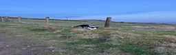 Welsh Collie dogs for sale: 4 Month old Welsh Boarder Collie  in Saint Helens - Advert 4