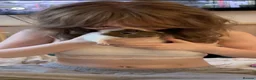 Guinea Pig rodents for sale: Gibson, male guinea pig - Advert 3