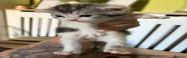 Marble