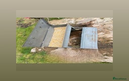 Chickens poultry for sale: 4 egg laying hens for sale with chicken coop  - Image 4