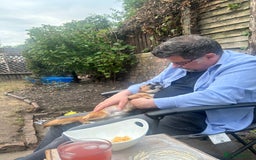 Mixed Breed dogs for sale: Jackawawa 1 year old Hugo - Image 12