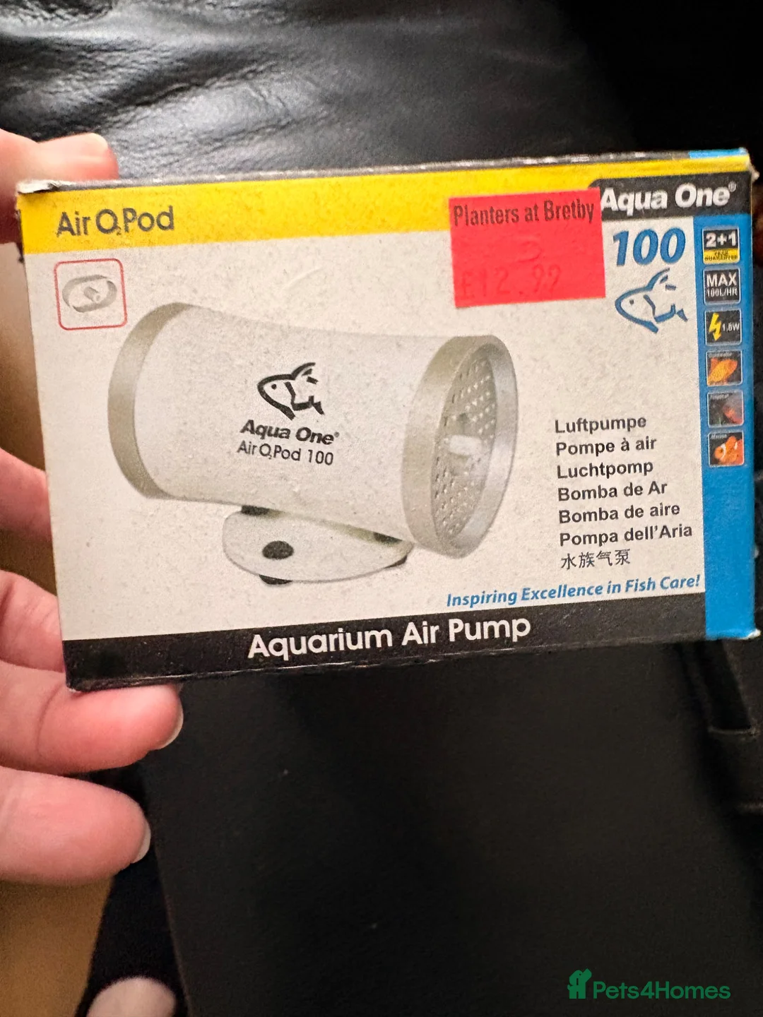 Mollies fish for sale: Juwel 200 fish tank fully set up with fish in Burton-on-Trent - Advert 5