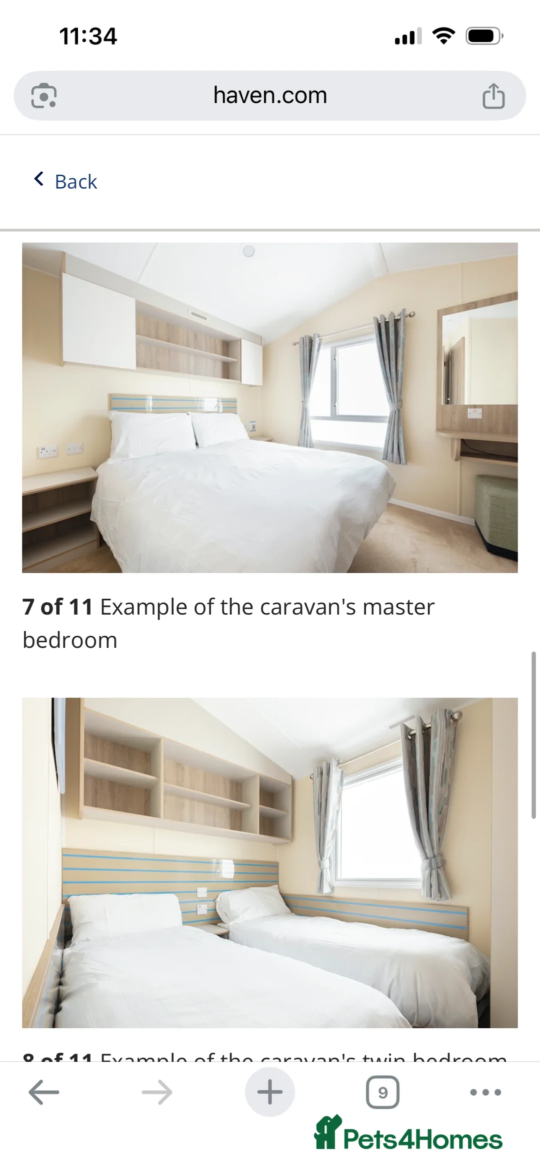 Maine Coon cats for sale: Two Beautiful Male Kittens - Advert 7