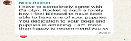 Cavapoo dogs for sale: Health tested Standard (cuddle) Cavapoos - Advert 25