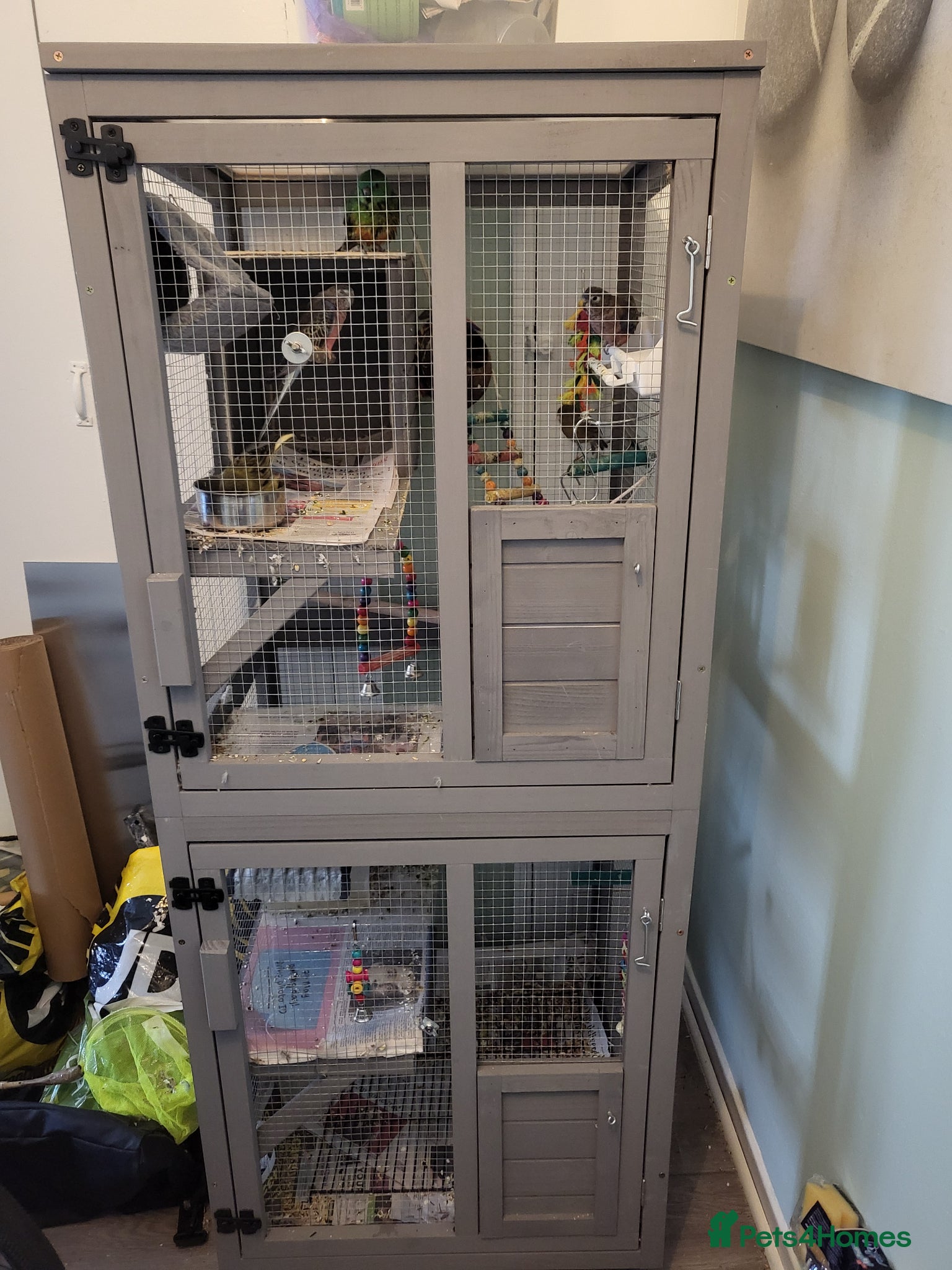 Parakeets birds 3 Birds and Big  wooden  cage nearly  new   - Advert 2