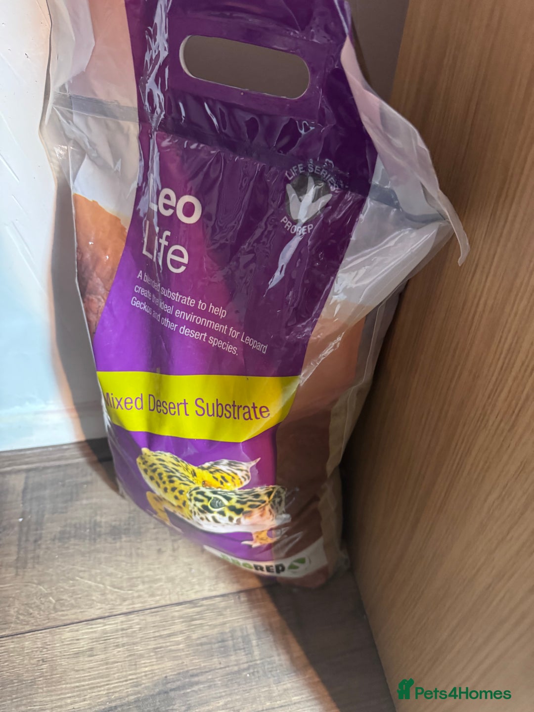 Leopard Gecko reptiles for sale: 🦎 Leopard Gecko + Full Setup – Ready to Go - Advert 3