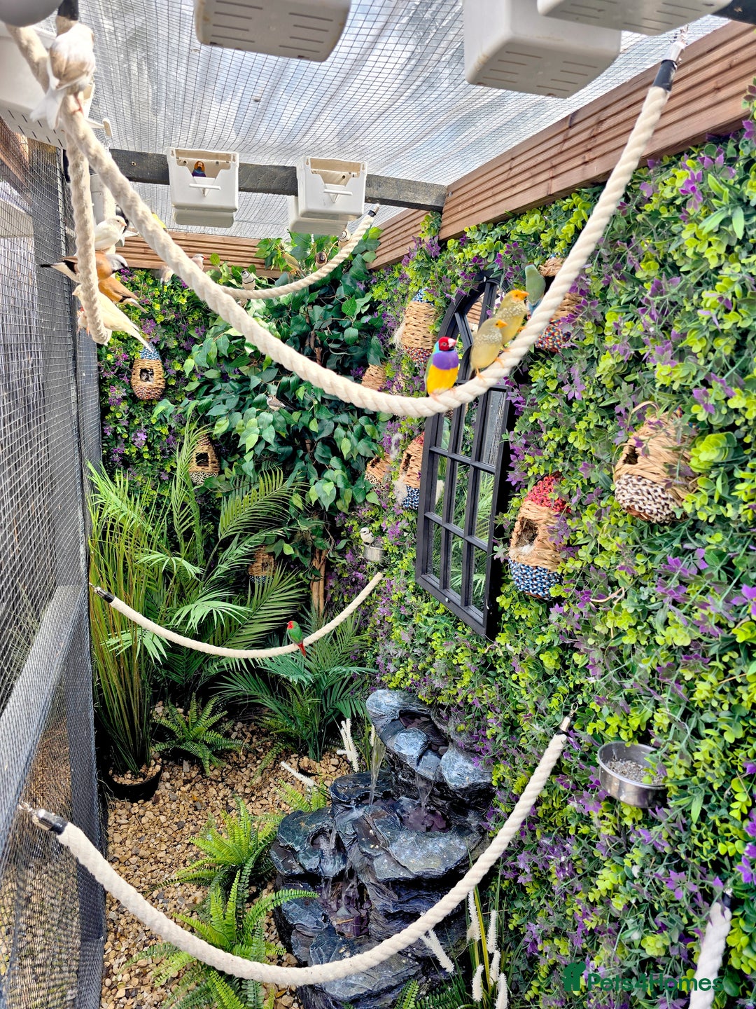 Gallery Image {{count}}