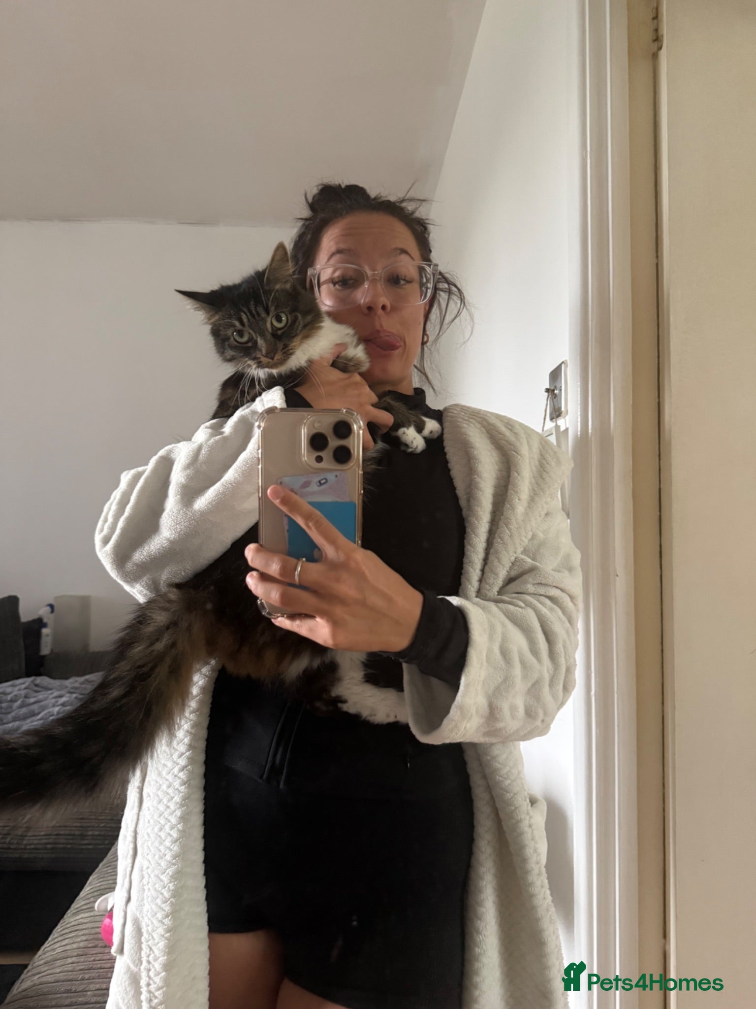 Mixed Breed cats 2 females for rehome - Advert 13
