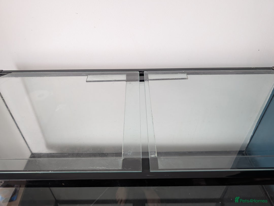 Other/Mixed Breed fish for sale: Fish Tank with Stand and Fluval 207 filter - Image 5