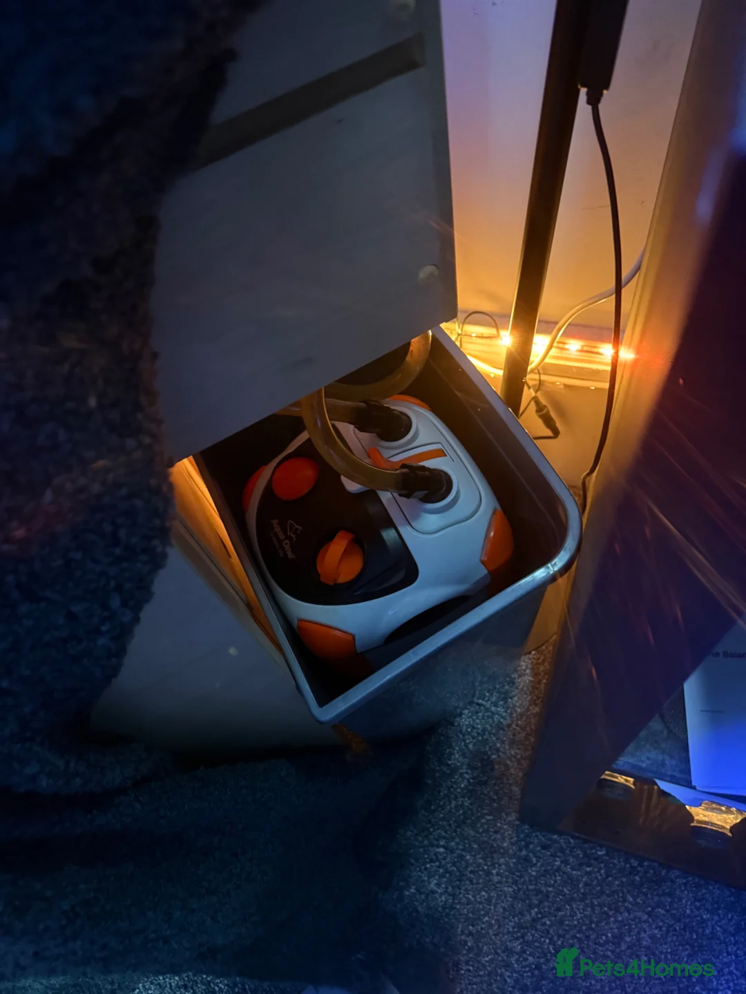 Other/Mixed Breed fish for sale: 305L Aqua One Aquarium + 300 Fish Full Setup - Advert 2