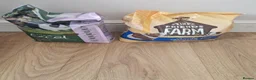 Guinea Pig rodents for sale: 2 male guinea pigs 18 months old come with hutch  in Chesterfield - Advert 6