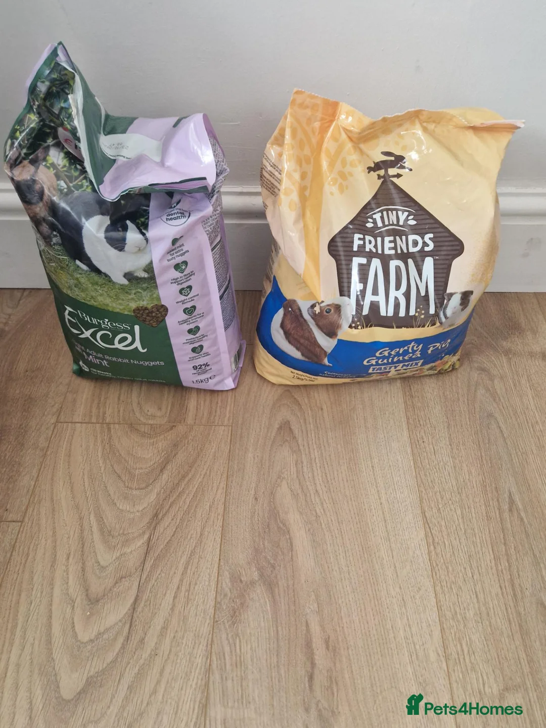 Guinea Pig rodents for sale: 2 male guinea pigs 18 months old come with hutch  in Chesterfield - Advert 6