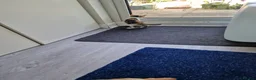 Mixed Breed cats for sale: Very Cute Calico Girl - Advert 27