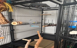 Parrots birds for sale: Large Parrot Cage - Image 11