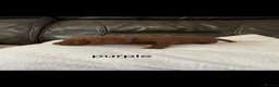 Toy Poodle dogs for sale: Red Toy poodle in Yeovil - Advert 7